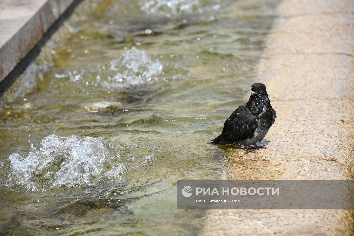 Жара в Москве
