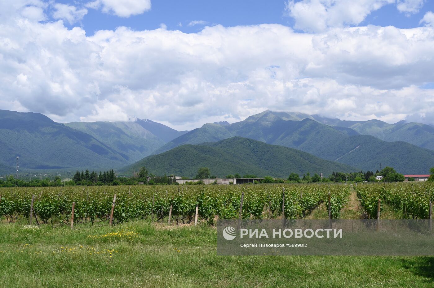 Страны мира. Грузия