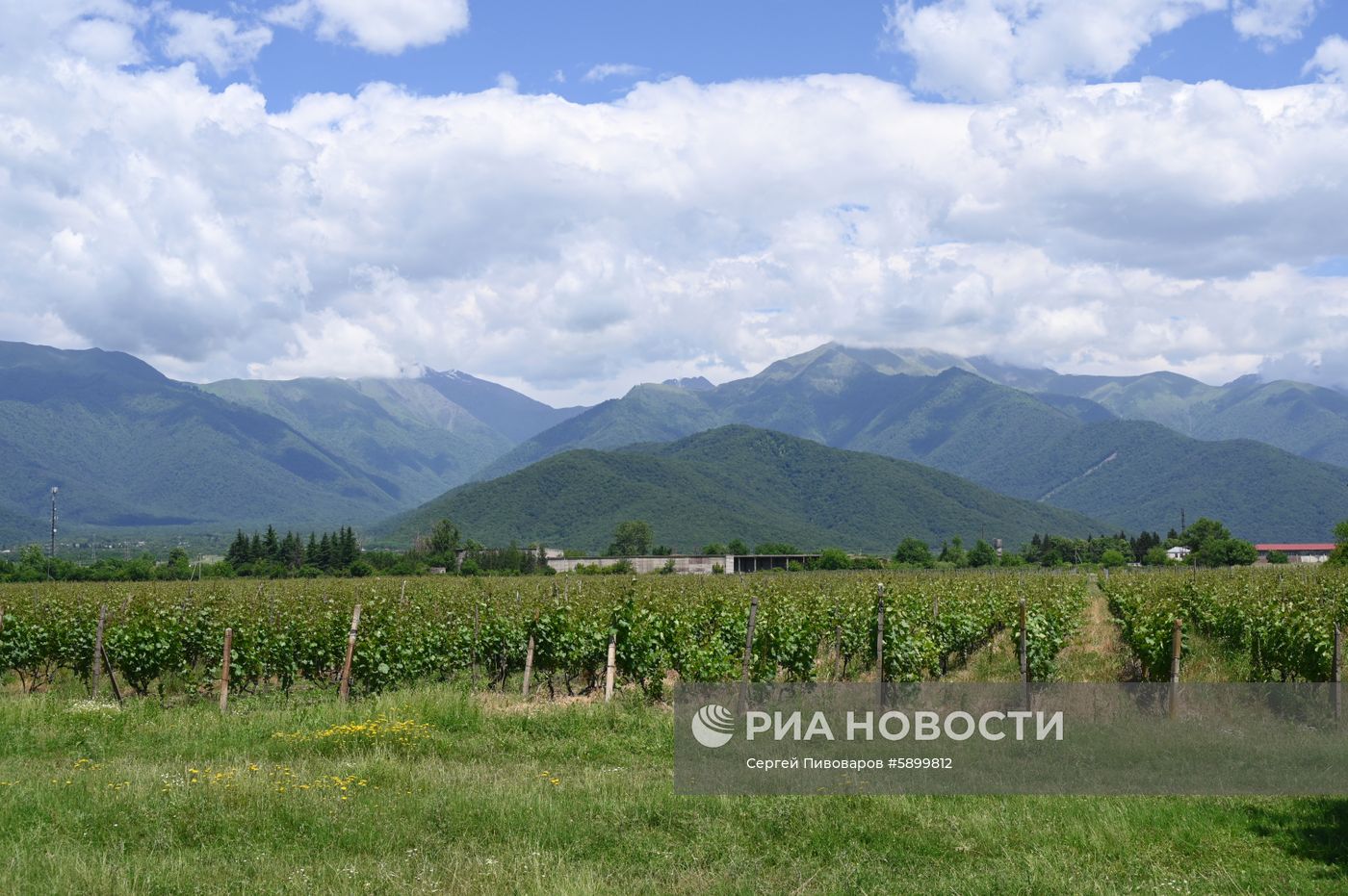 Страны мира. Грузия