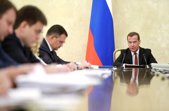 Премьер-министр РФ Д. Медведев провел заседание президиума Совета по стратегическому развитию и национальным проектам