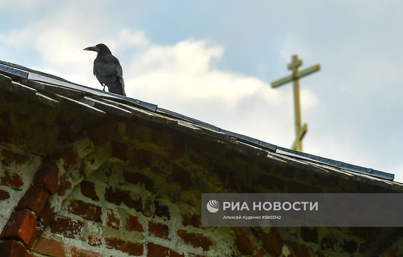 Зарайский кремль