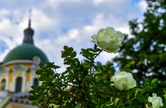 Зарайский кремль