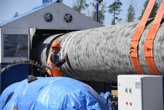 Строительство газопровода "Северный поток-2" в Ленинградской области
