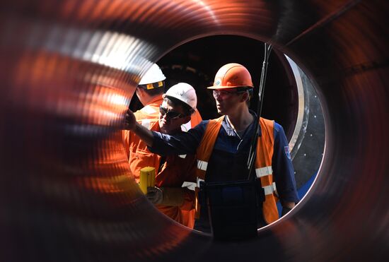 Строительство газопровода "Северный поток-2" в Ленинградской области