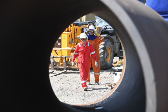 Строительство газопровода "Северный поток-2" в Ленинградской области