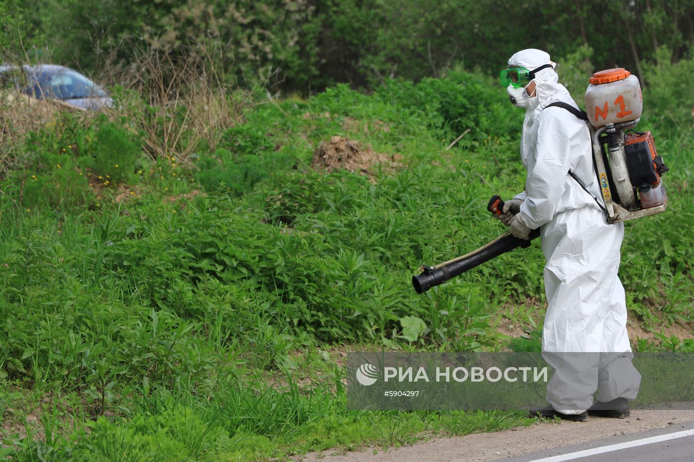 Уничтожение борщевика в Подмосковье 