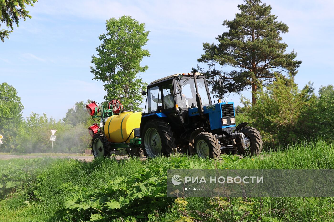 Уничтожение борщевика в Подмосковье