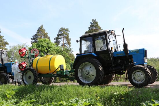 Уничтожение борщевика в Подмосковье 