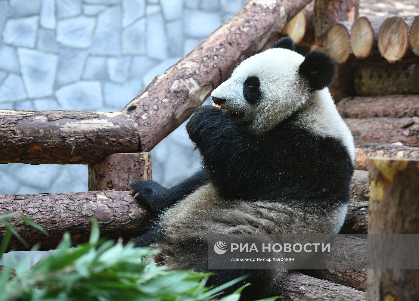 Мероприятия с участием президента РФ В. Путина в рамках государственного визита в РФ председателя КНР Си Цзиньпина