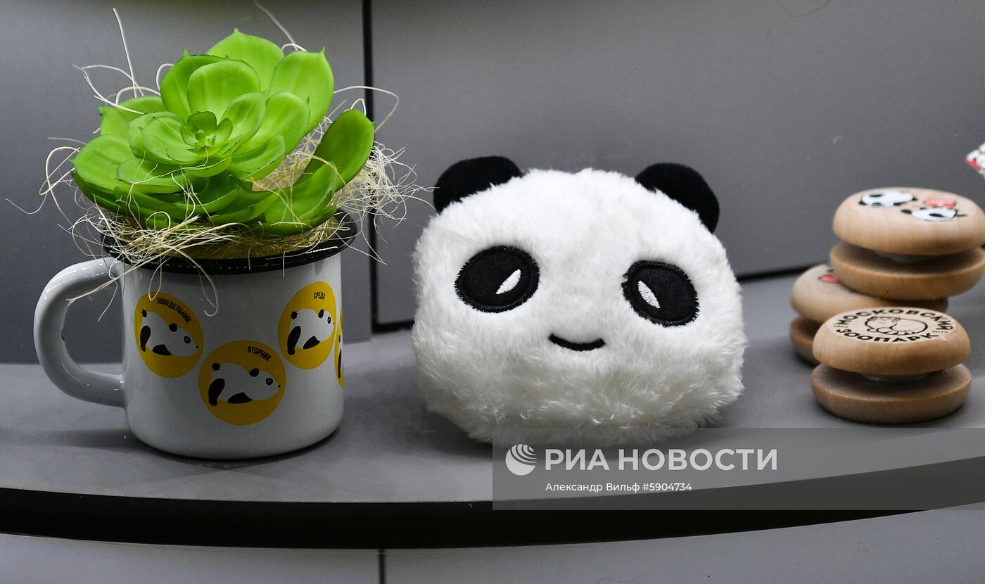 Панды в Московском зоопарке