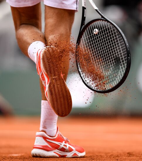 Теннис. Ролан Гаррос. Тринадцатый день