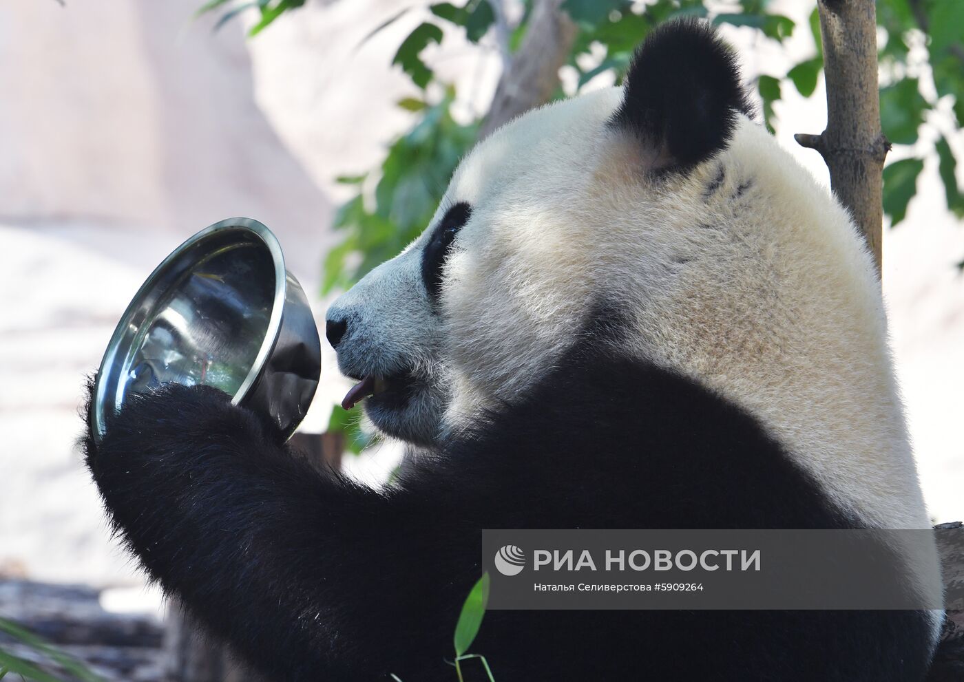 Московский зоопарк