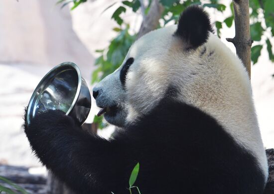 Московский зоопарк