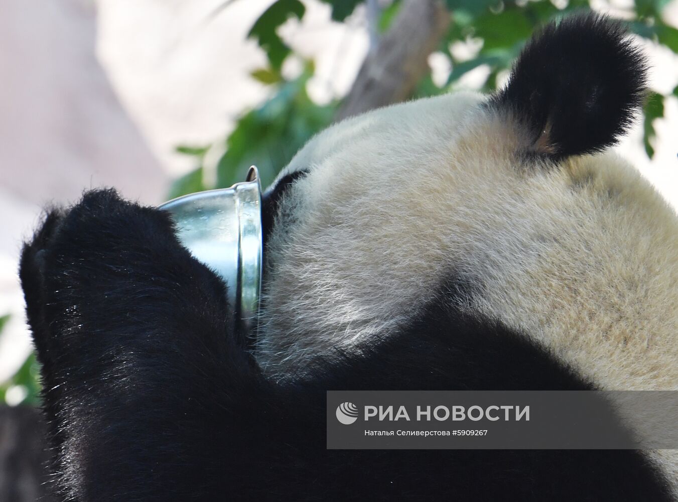 Московский зоопарк