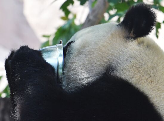 Московский зоопарк