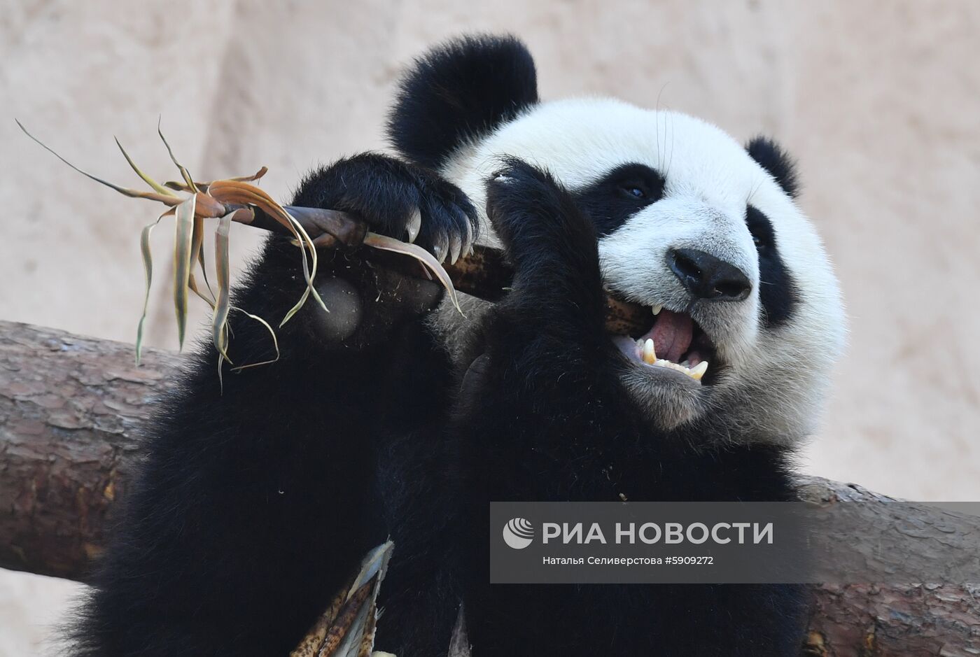 Московский зоопарк