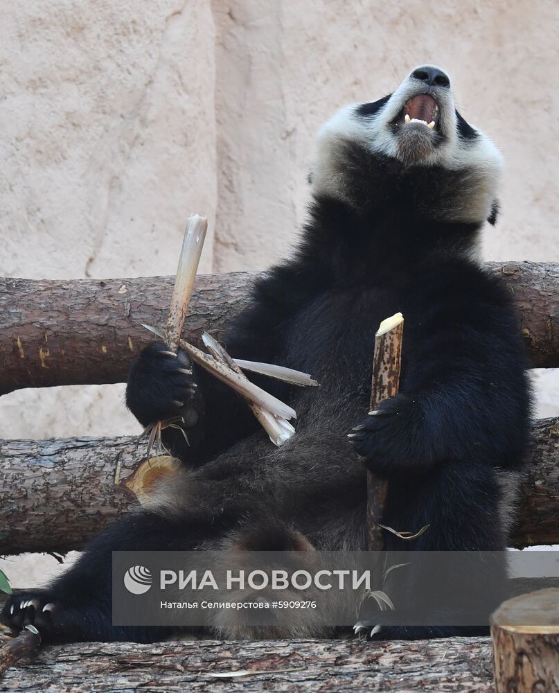 Московский зоопарк