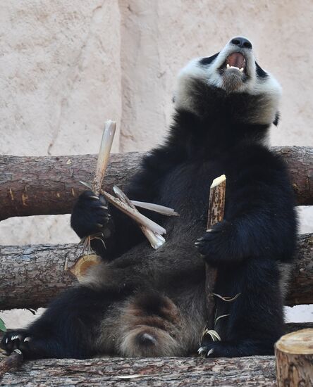 Московский зоопарк