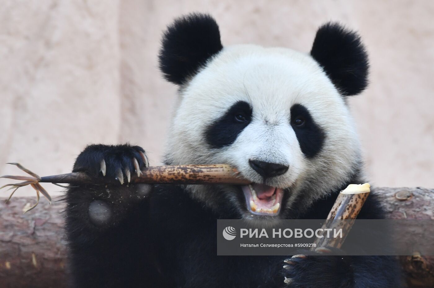 Московский зоопарк