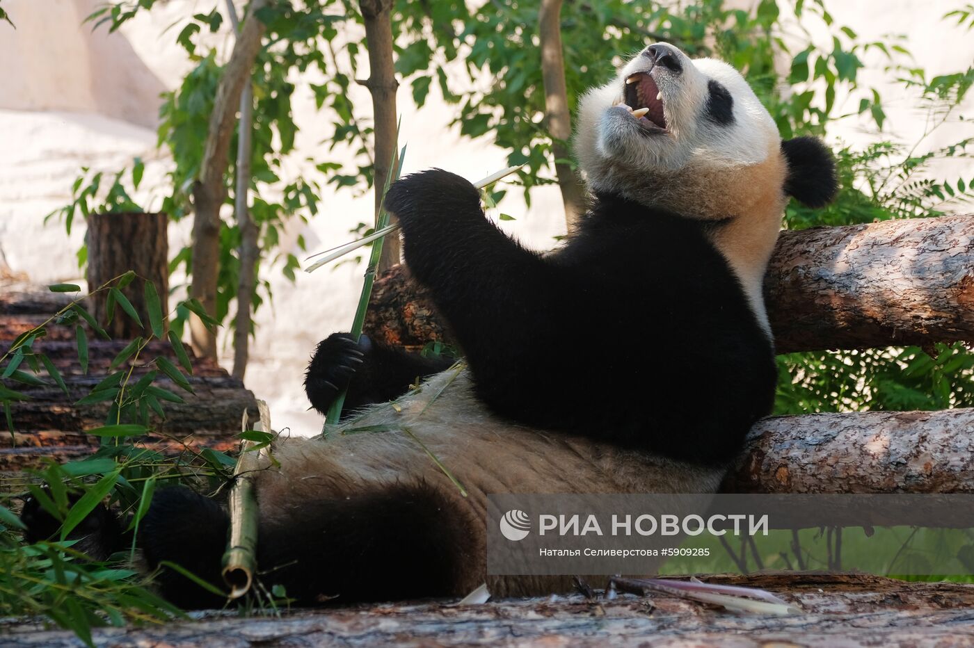 Московский зоопарк