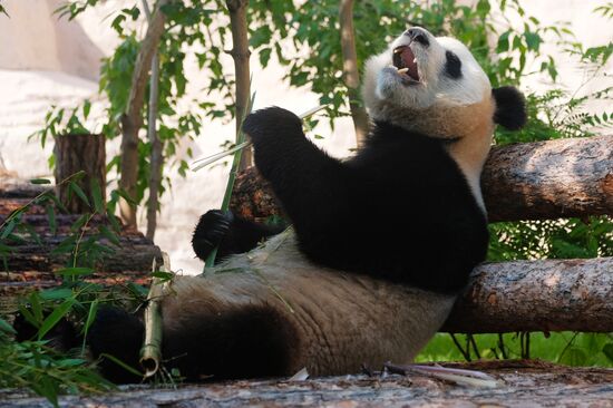 Московский зоопарк