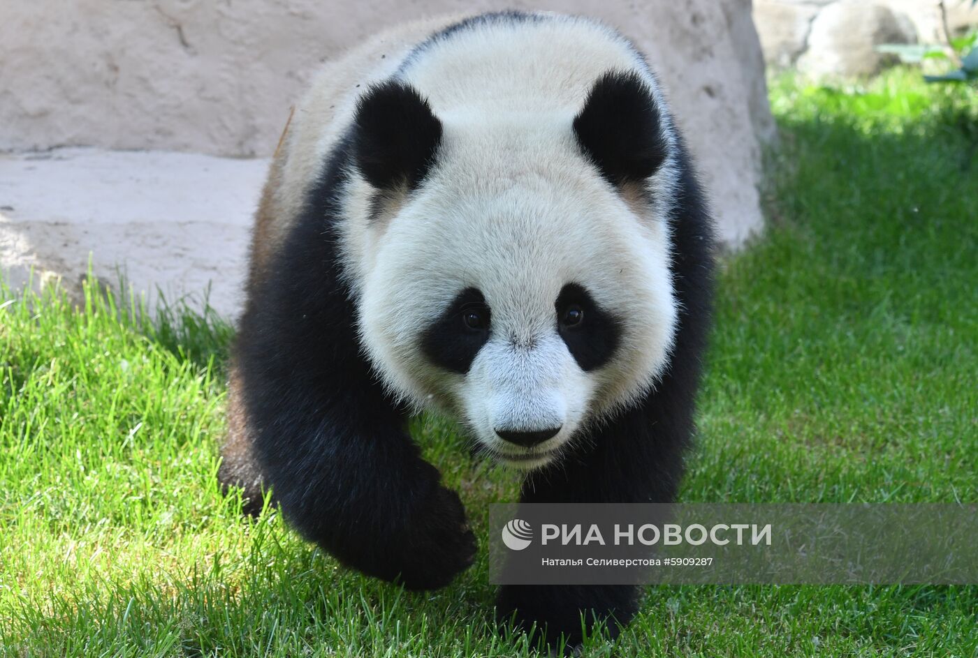 Московский зоопарк