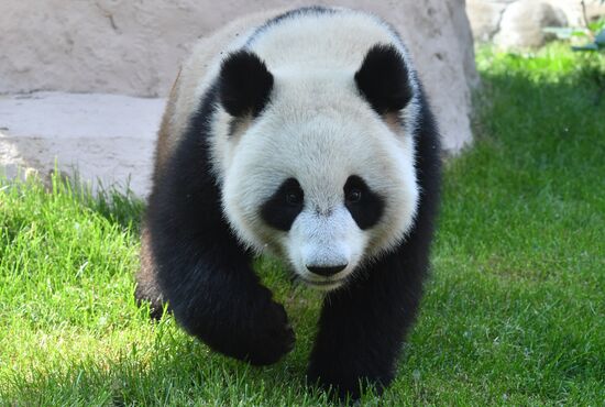 Московский зоопарк