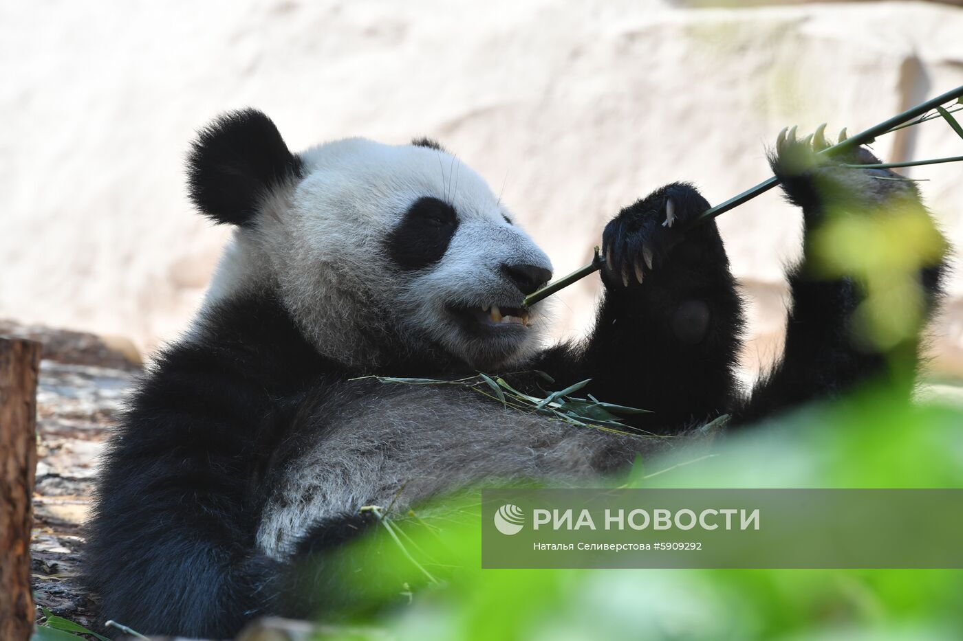 Московский зоопарк