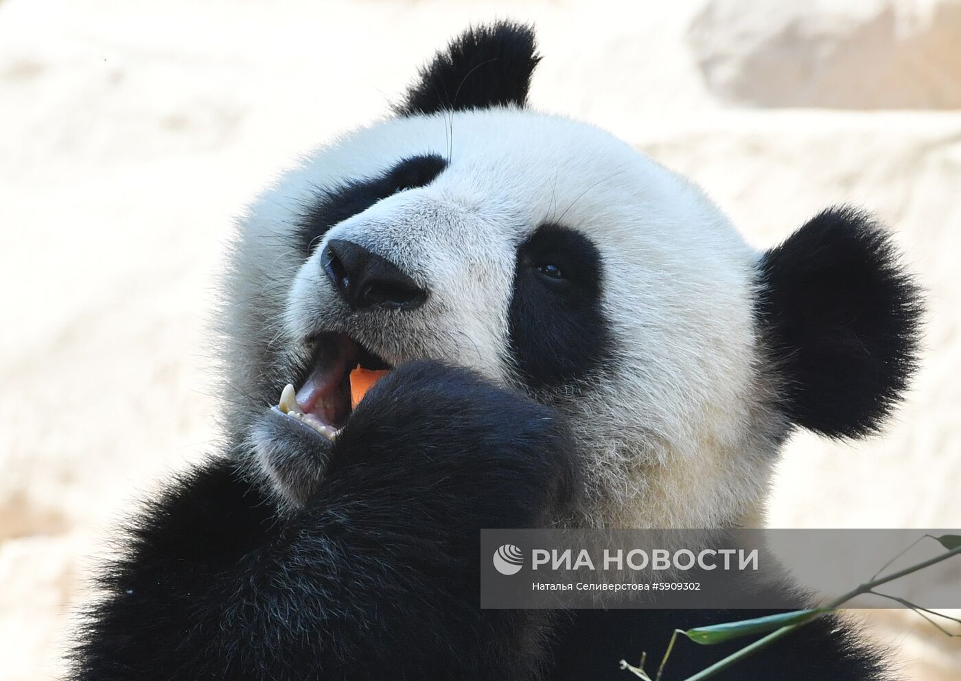 Московский зоопарк