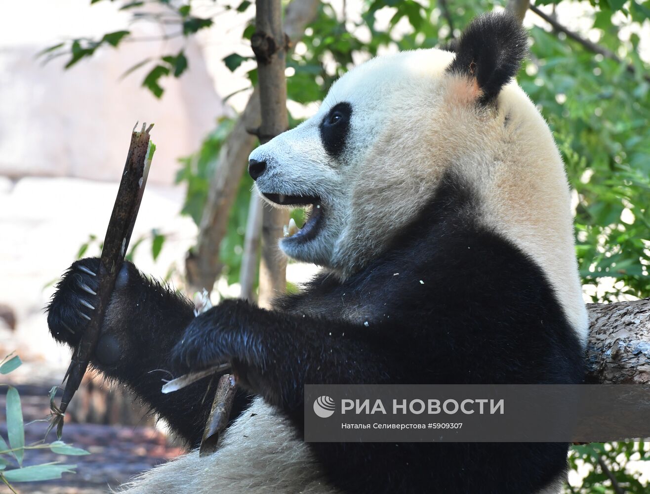 Московский зоопарк