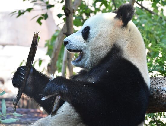 Московский зоопарк