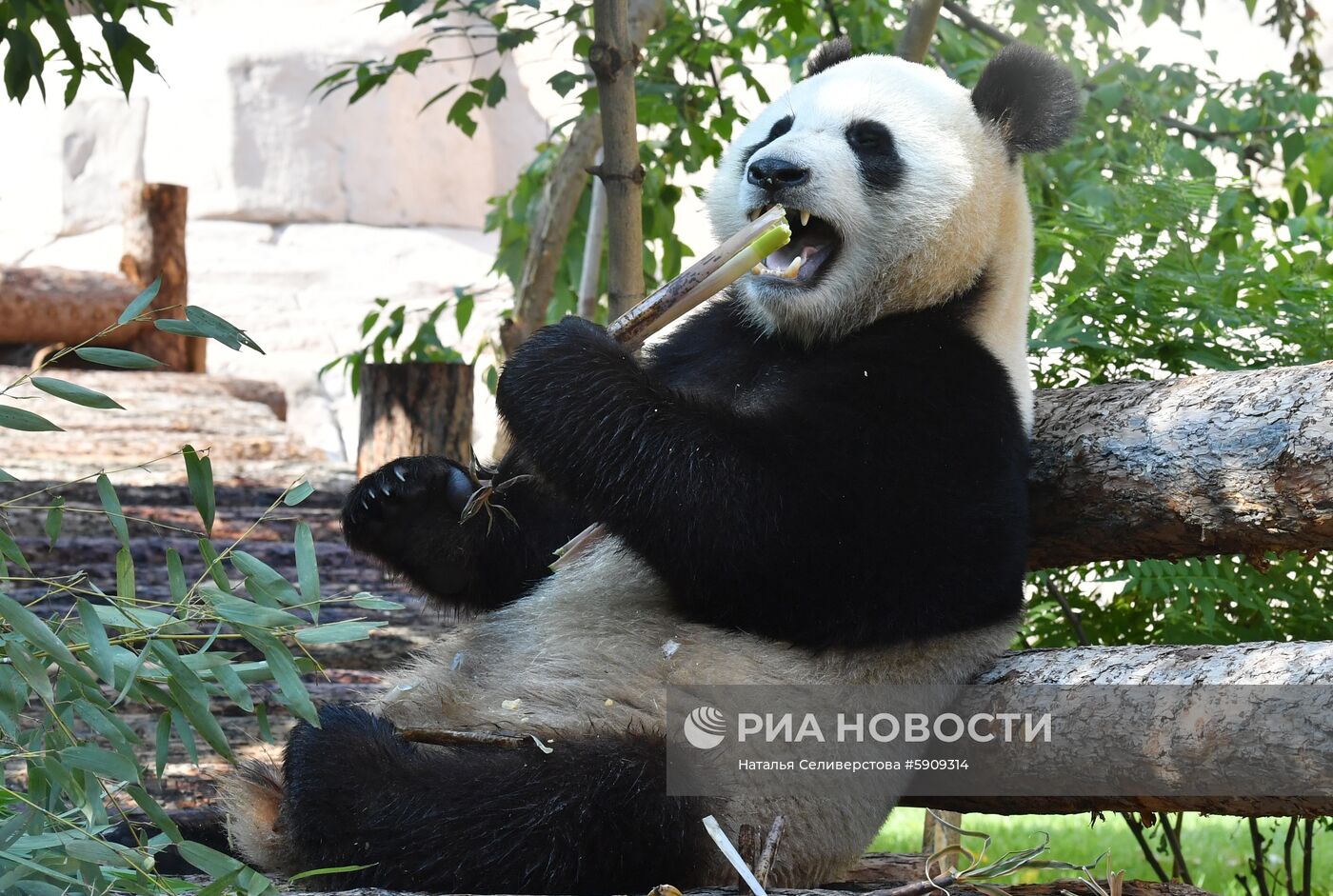 Московский зоопарк