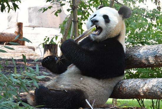 Московский зоопарк