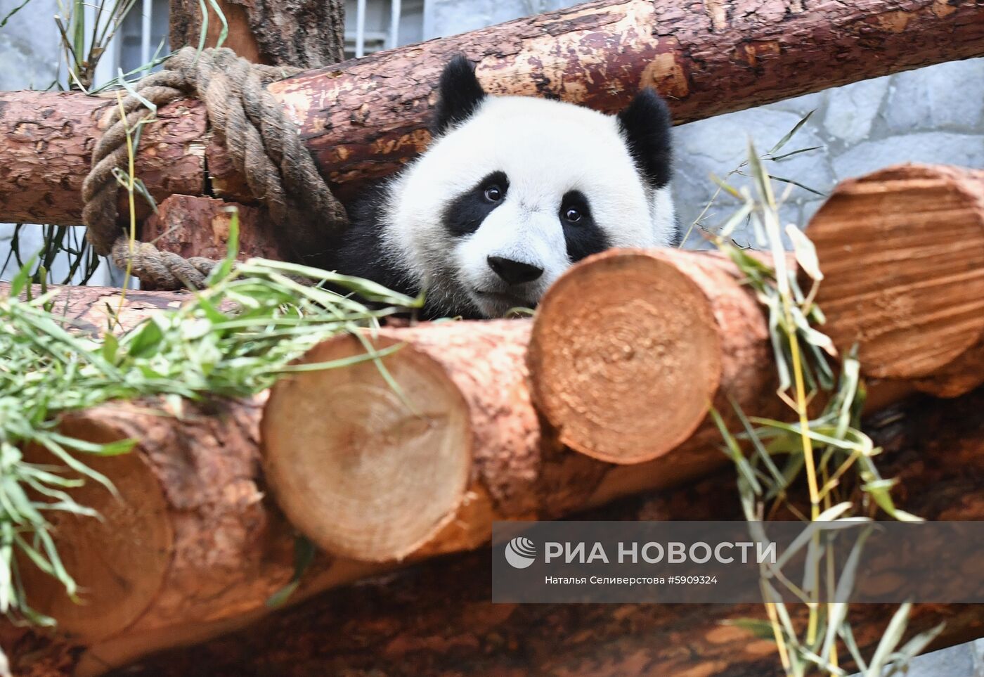 Московский зоопарк