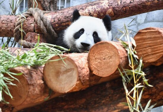 Московский зоопарк