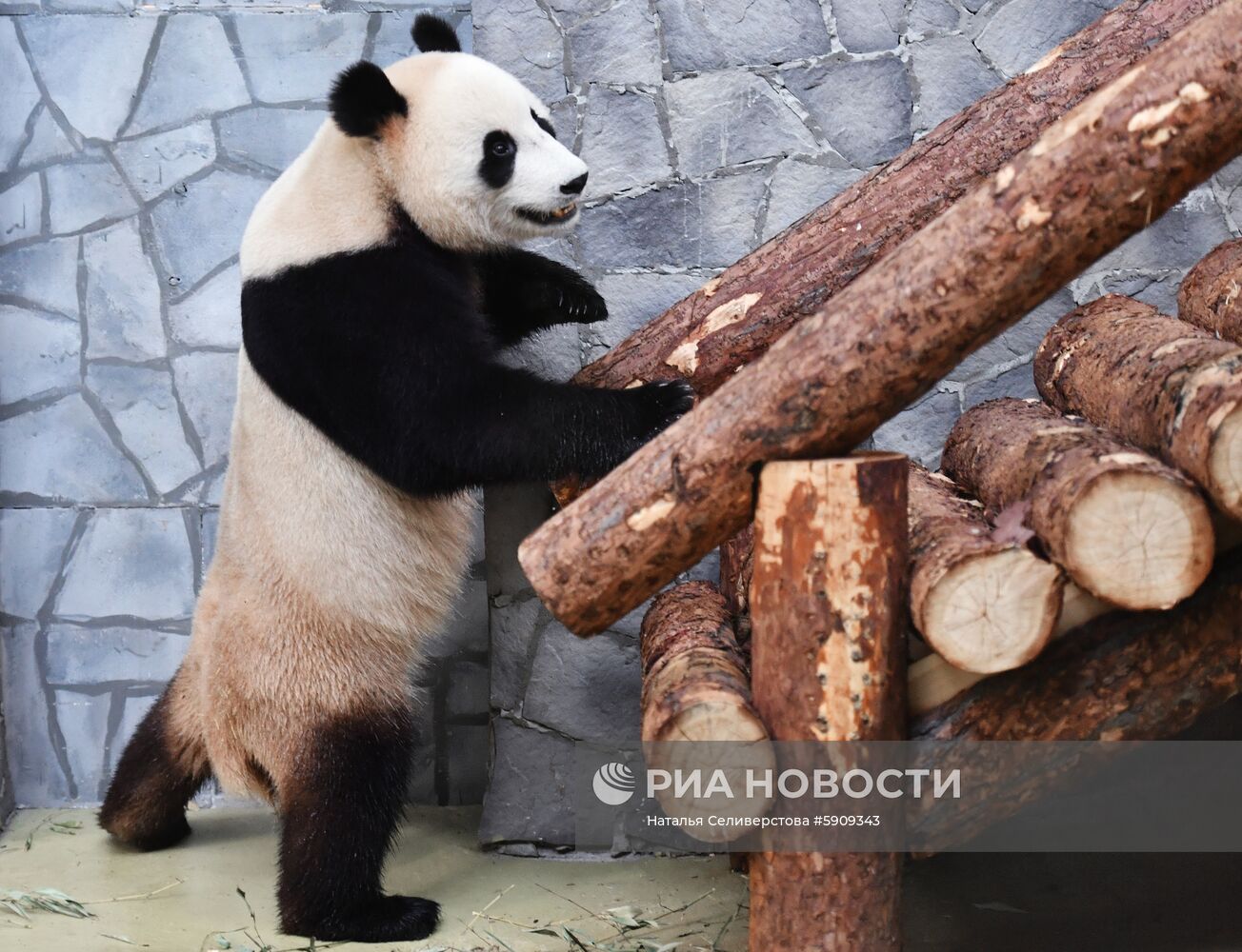 Московский зоопарк