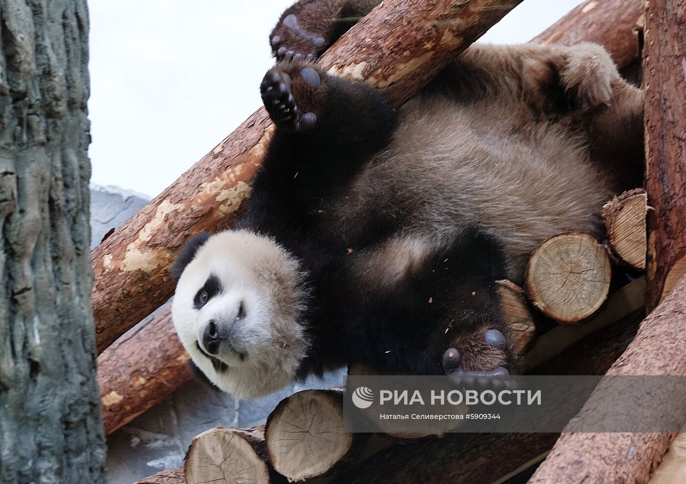 Московский зоопарк