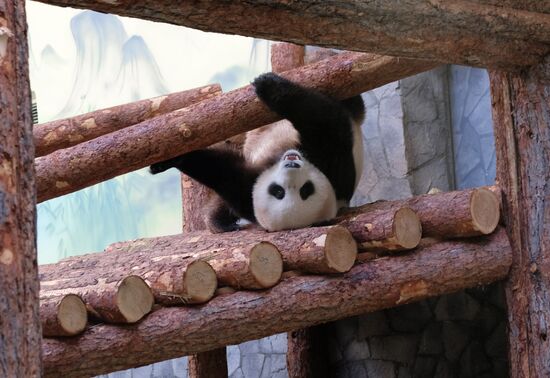 Московский зоопарк