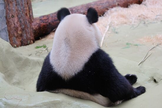 Московский зоопарк