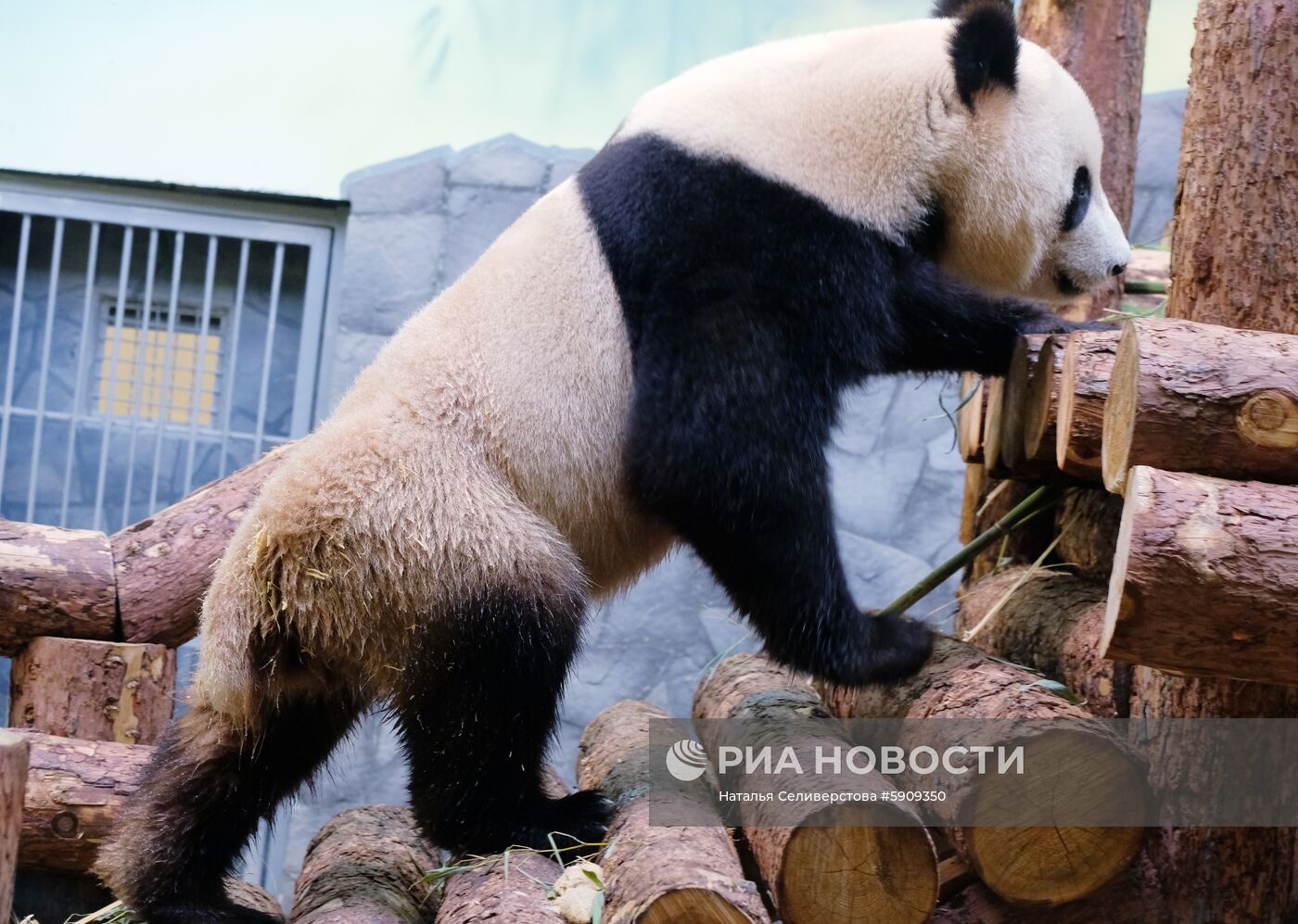 Московский зоопарк