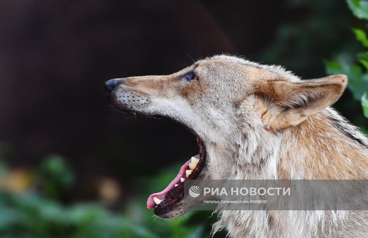 Московский зоопарк