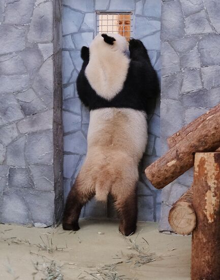 Московский зоопарк