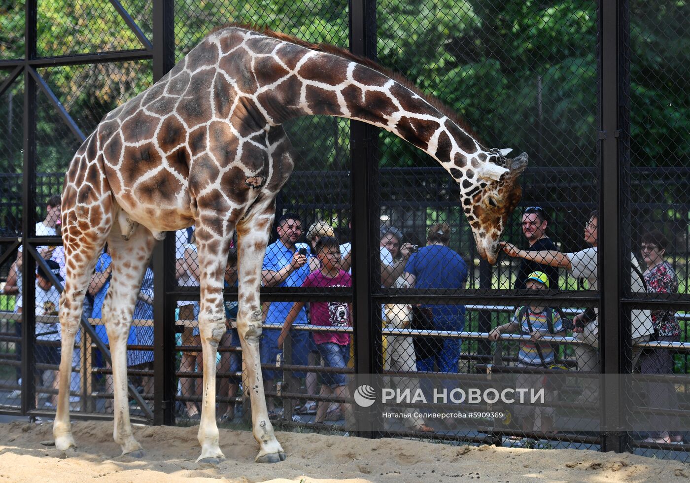 Московский зоопарк