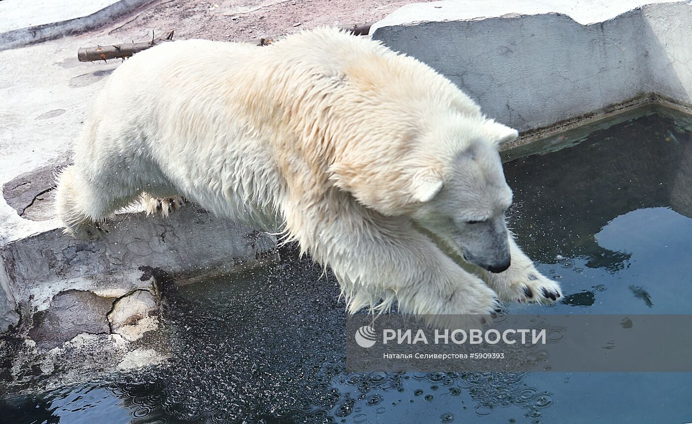 Московский зоопарк