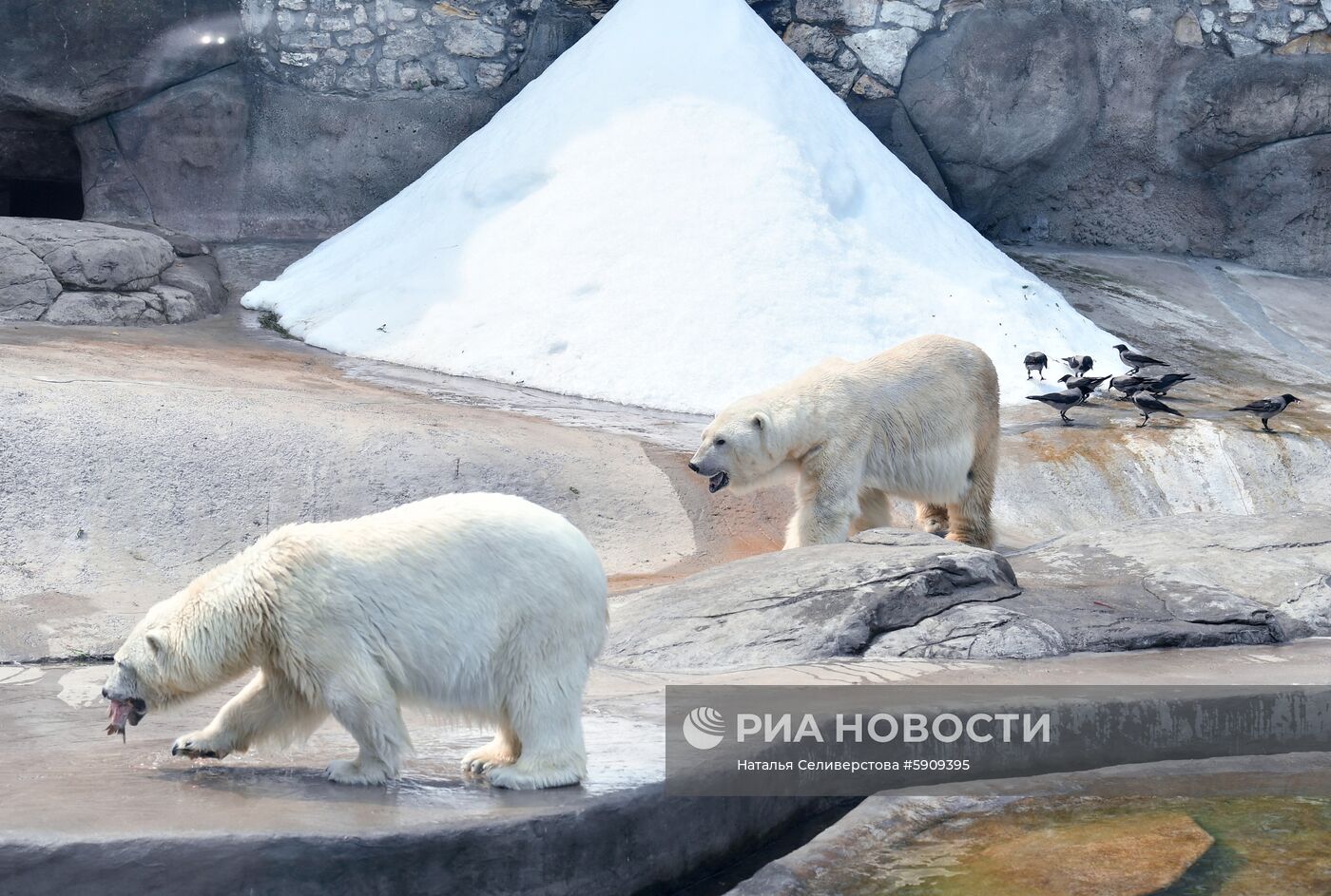 Московский зоопарк