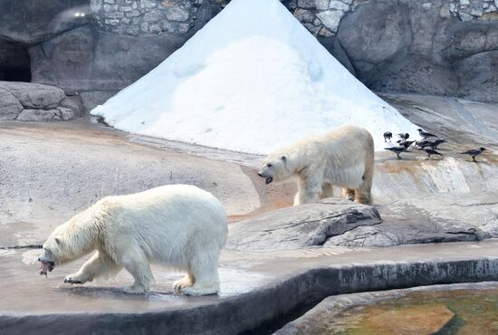 Московский зоопарк