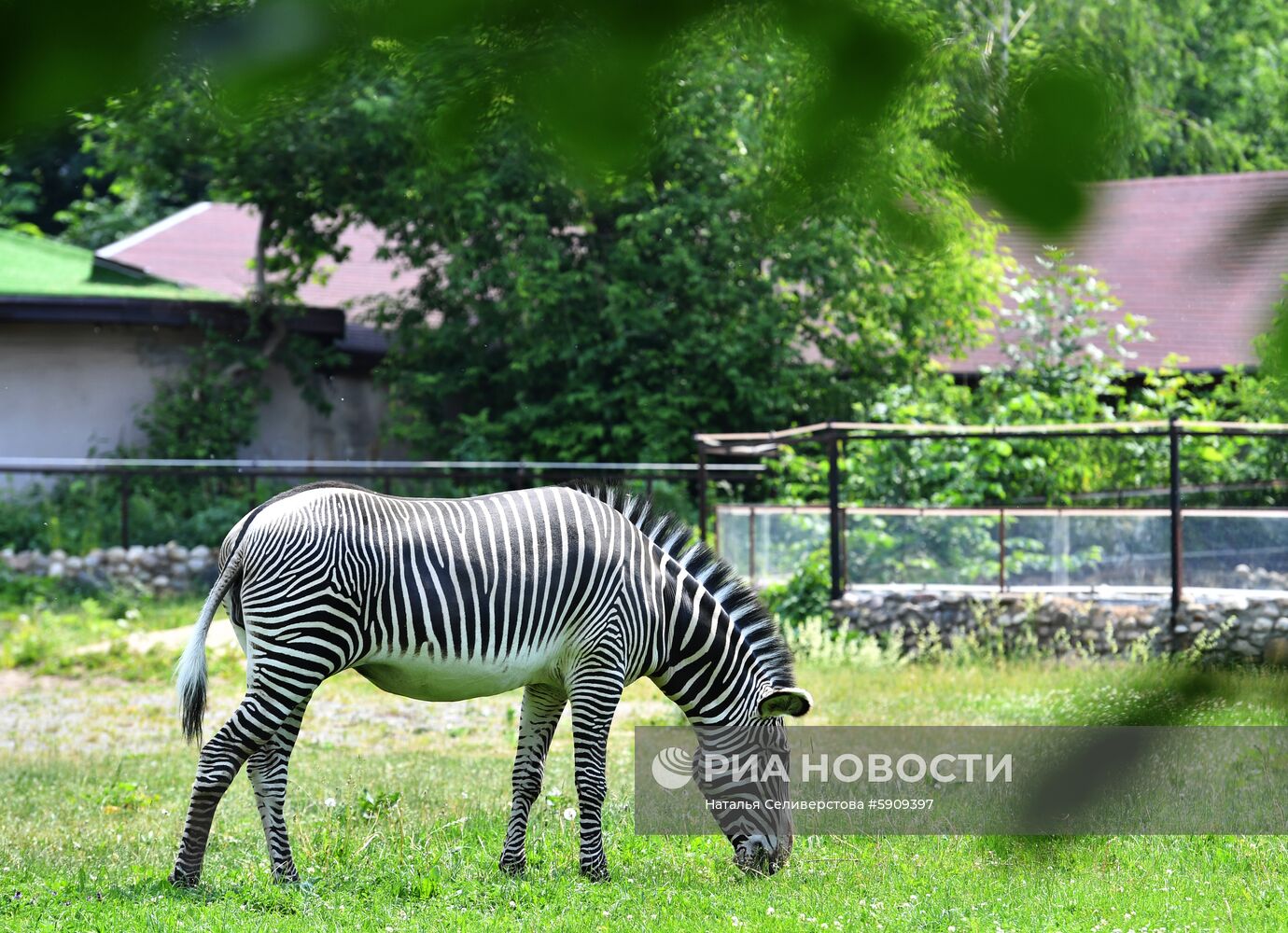 Московский зоопарк