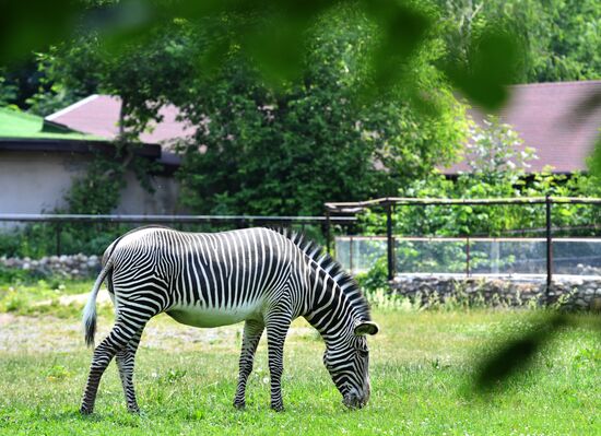 Московский зоопарк