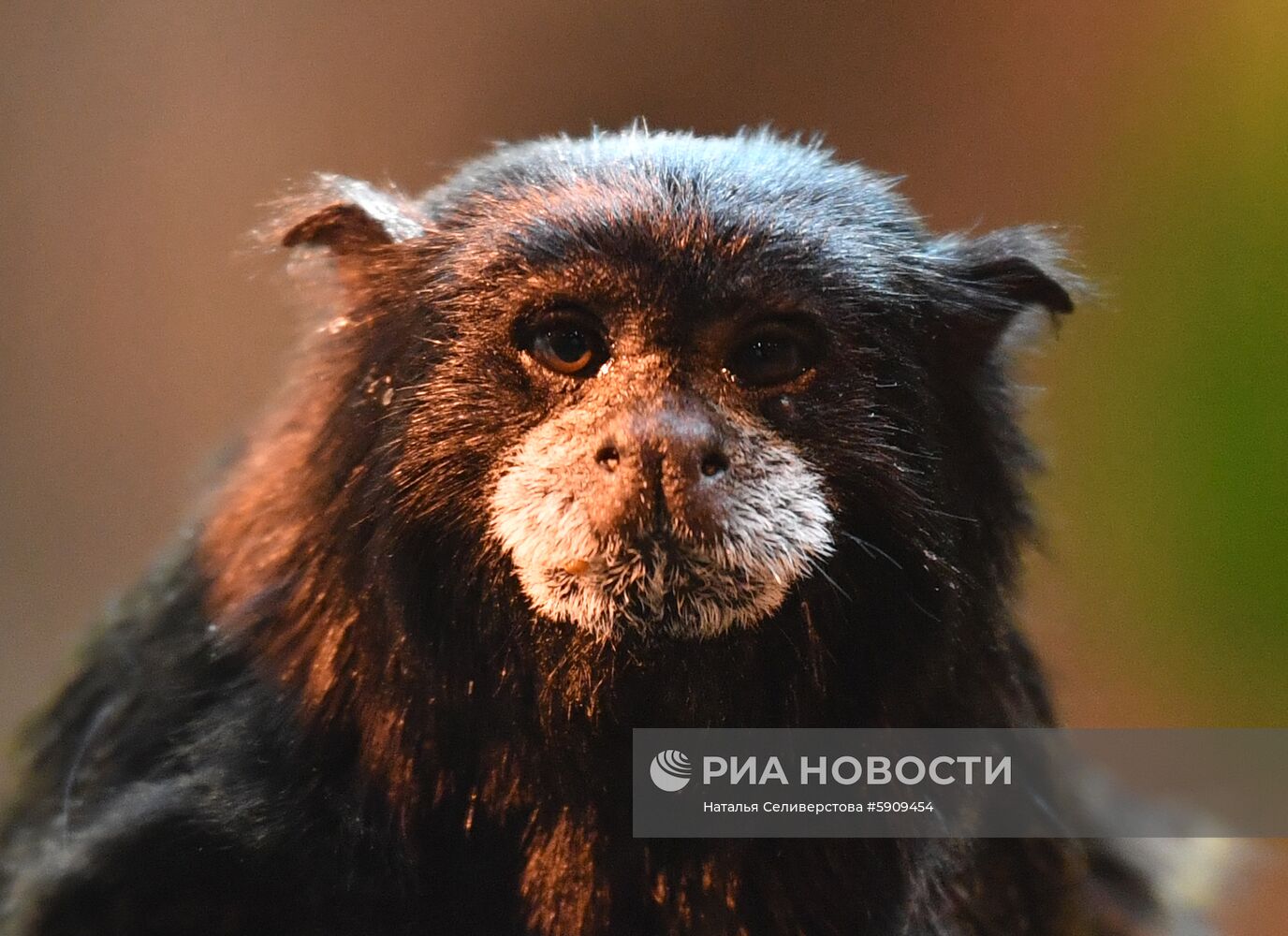 Московский зоопарк