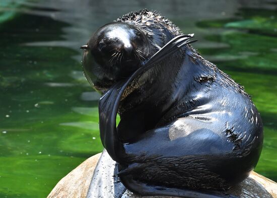 Московский зоопарк